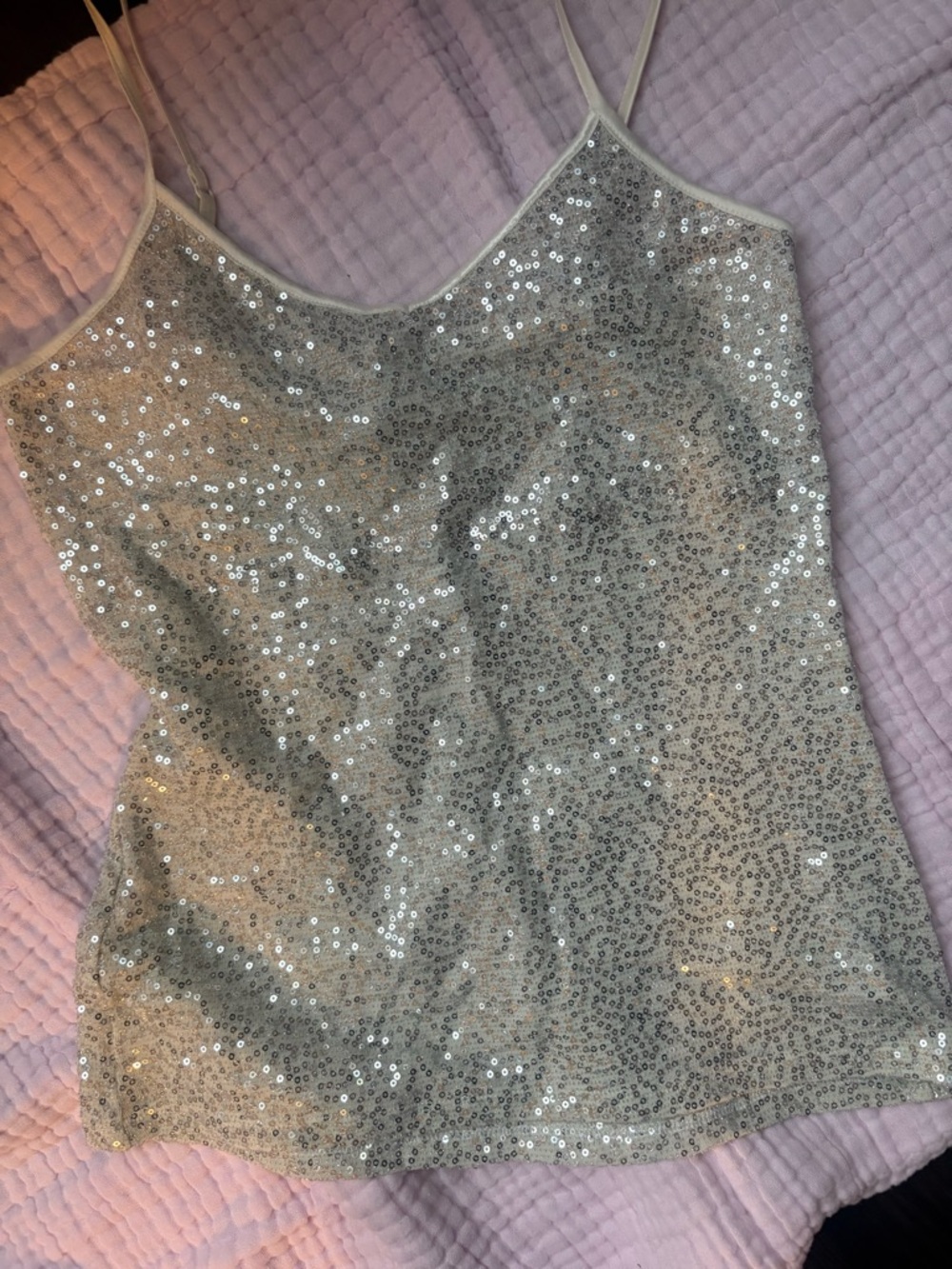 EXPRESS Silver Sequin Tank